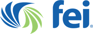 Financial Executives International